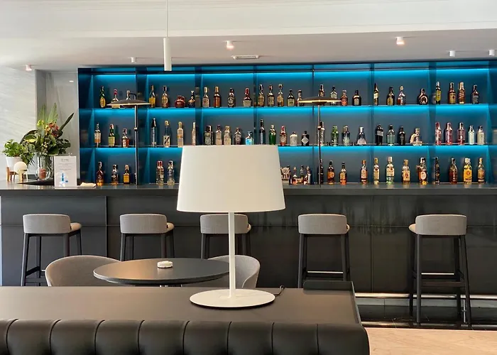 卡洛斯一世希尔加酒店 桑亨霍