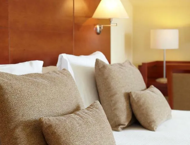 卡洛斯一世希尔加酒店