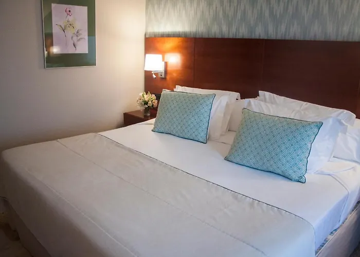 卡洛斯一世希尔加酒店 4*